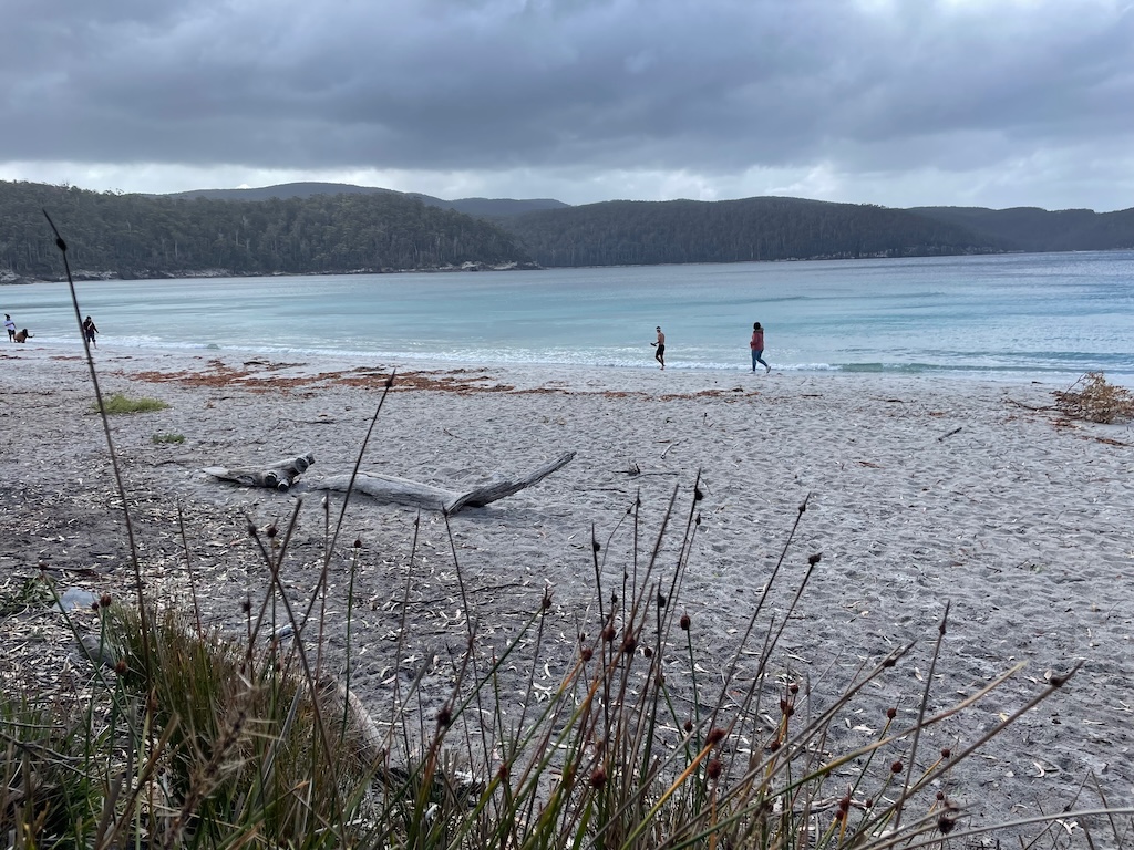 Tasmania Day 10: Three Capes Walk Day 4