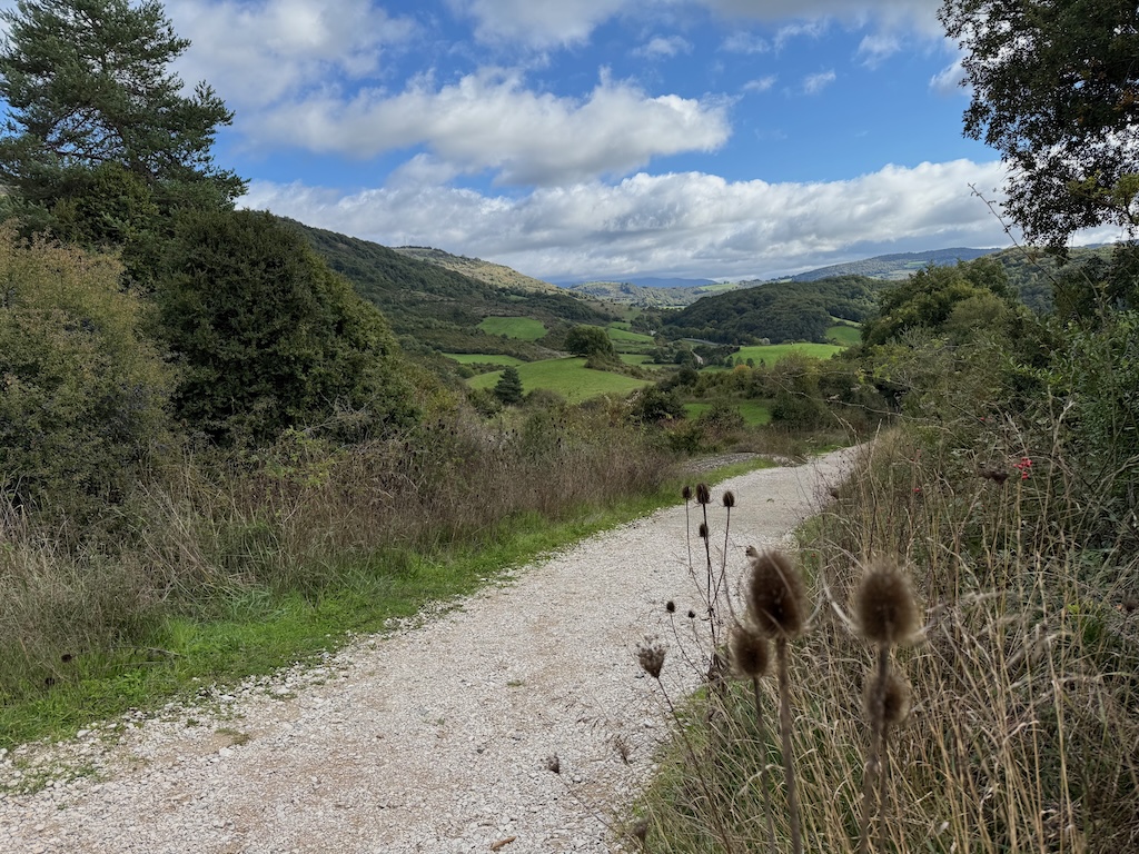 Camino de Santiago: Roncesvalles to Zubiri