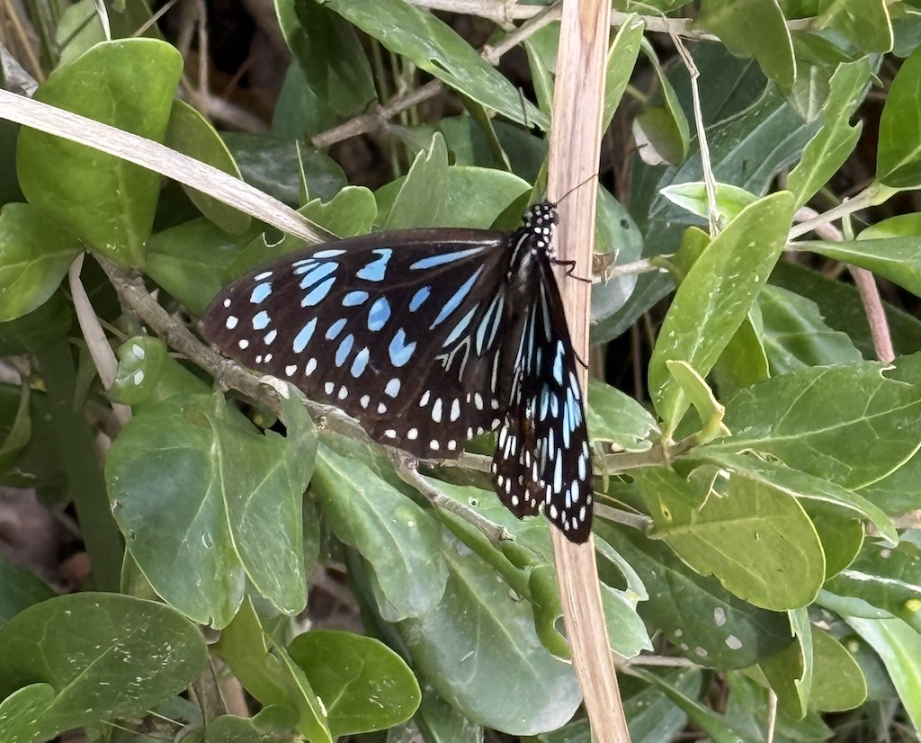 List #27: Good Things Friday July 2025