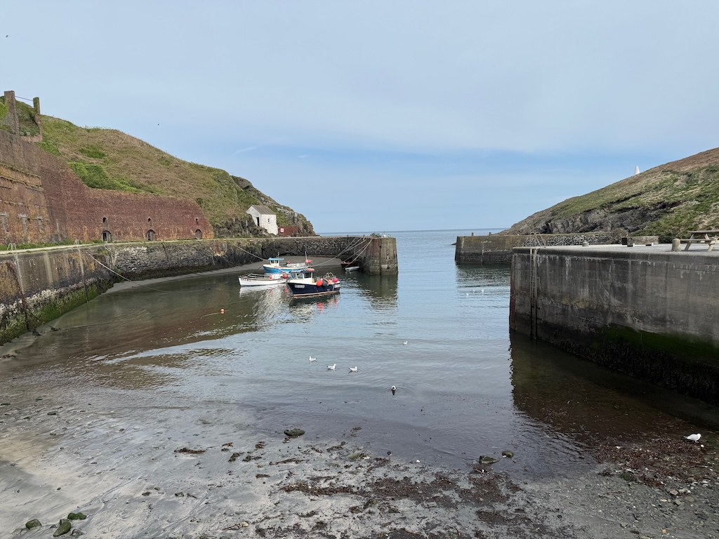 Wales Day 10: A Couple of Coastal Hikes
