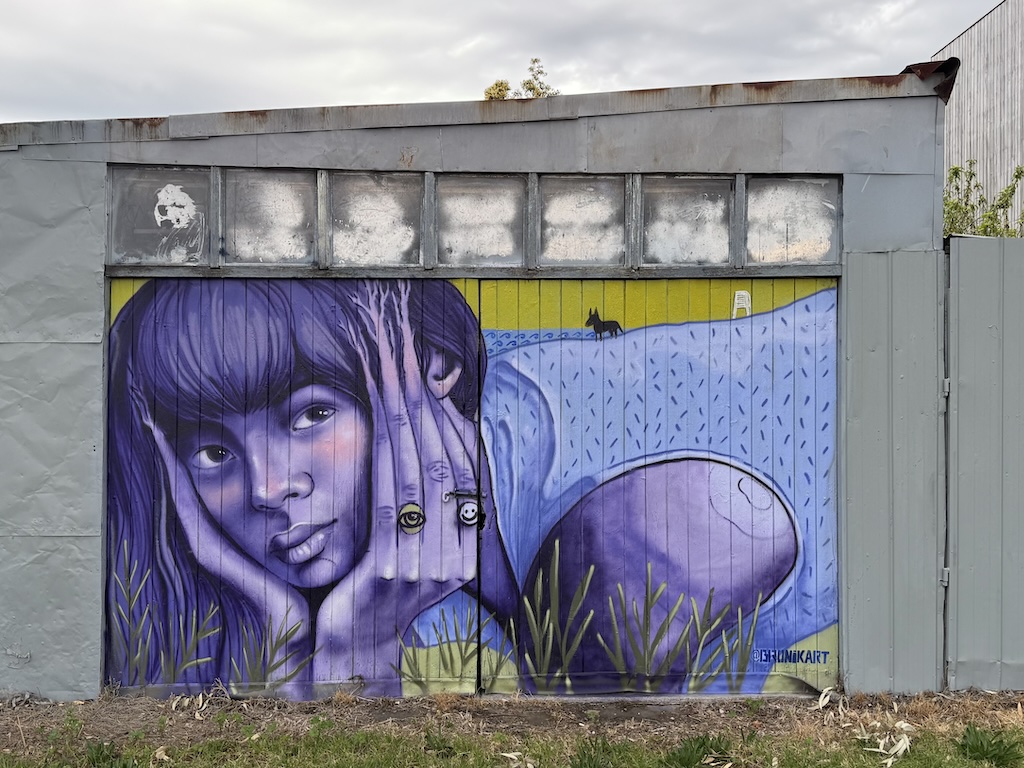 Neighbourhood Street Art and Graffiti