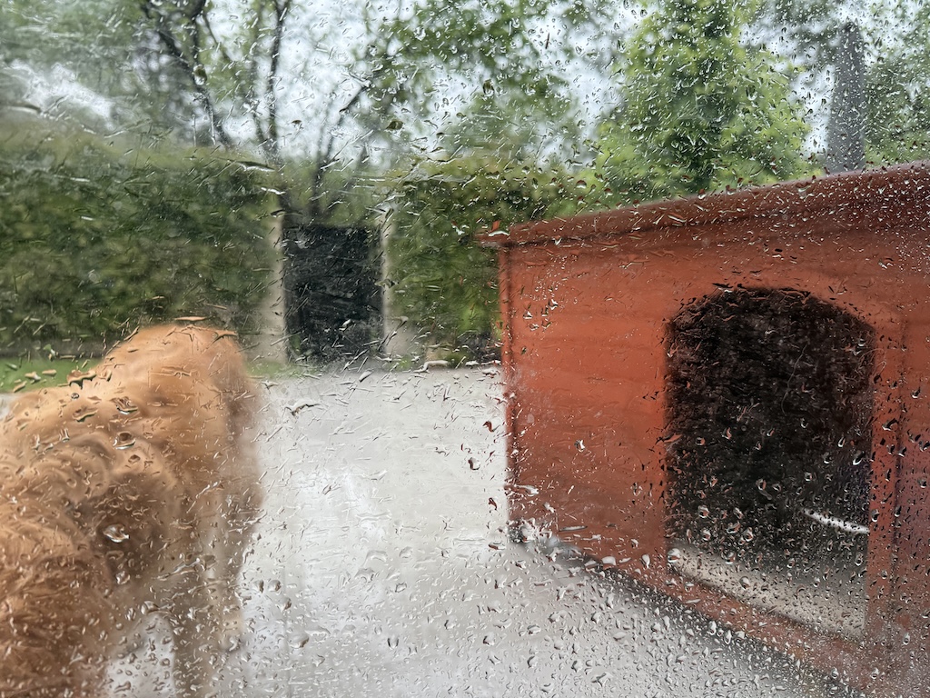 This Week’s Forecast