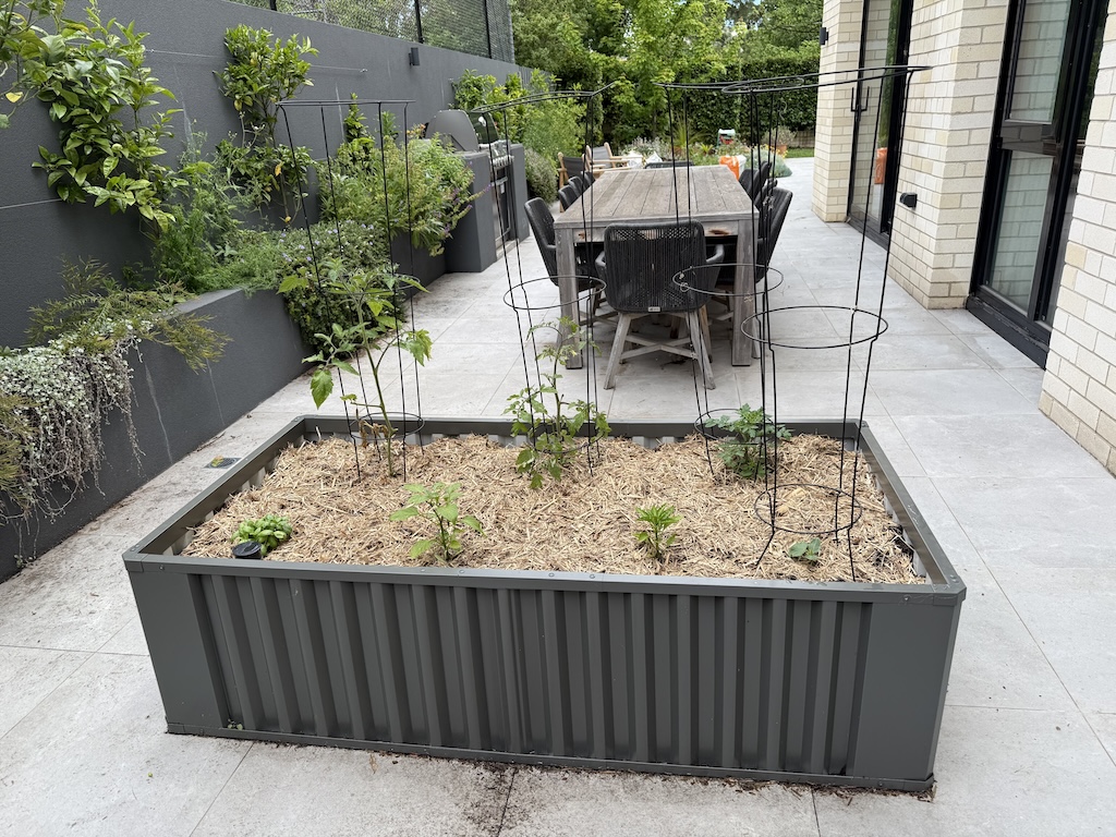 List #43:Summer Veggies in my Wicking Bed