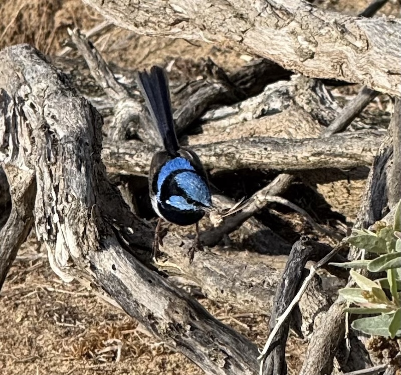 List #48: 100 Things That Made my Year – 2025