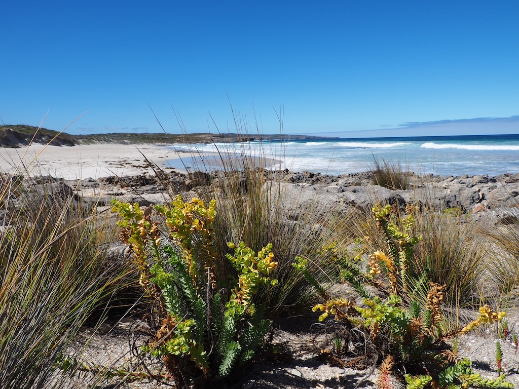 Kangaroo Island – Day 1