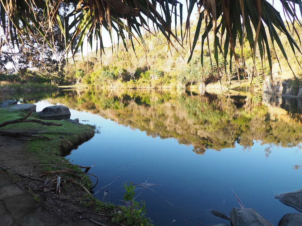 Yamba August 2026 In Photos